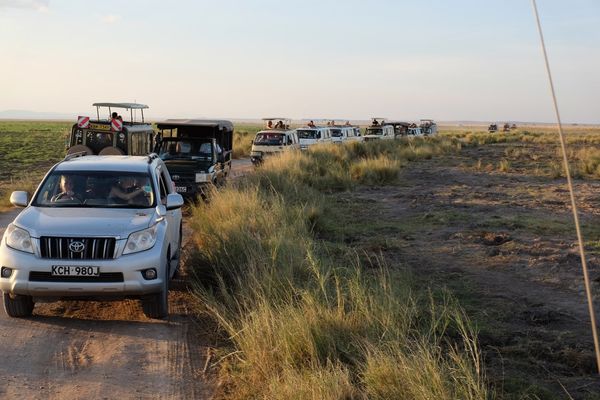 Safarigoers in vehicles