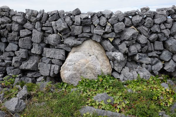 White boulder in dry stone wall