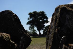 Grange stone circle 4