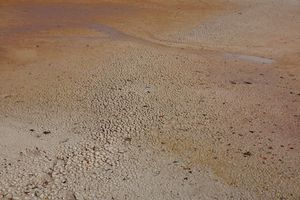 Low tide outside Chixulub
