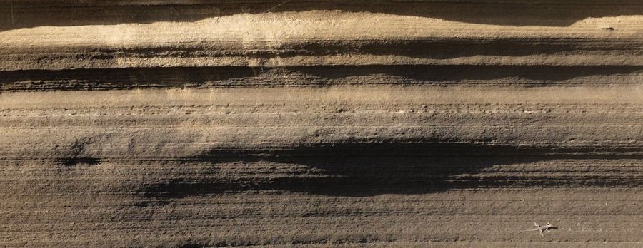 Rock strata and a tiny lizard