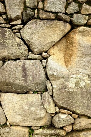 Terrace at Machu Picchu, close up 1