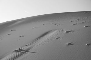 Valley of the Moon 5