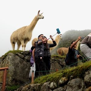 Machu Picchu selfies