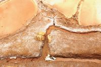 Maras salt pond texture 1