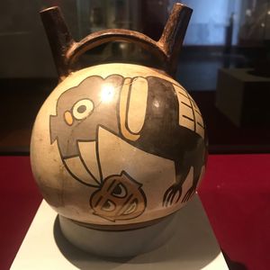 Bird with severed head