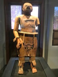 Humanoid dressed in a monkey's skin