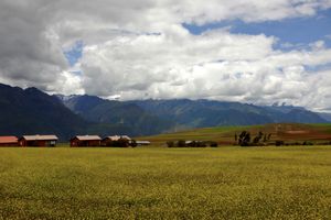 Alp-like countryside 1