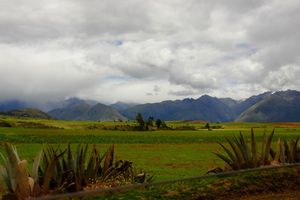 Alp-like countryside 2
