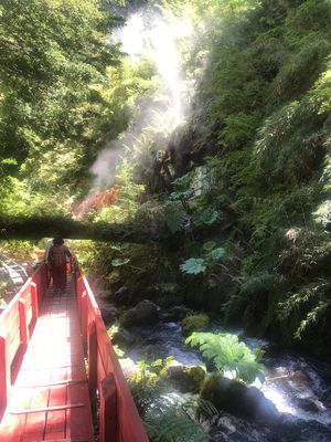 Termas Geometricas 1