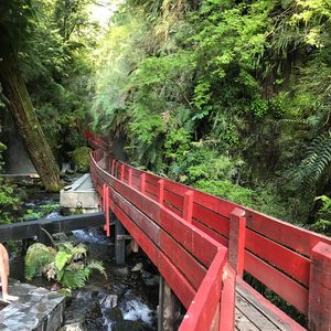 Termas Geometricas 2