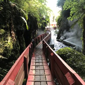 Termas Geometricas 3